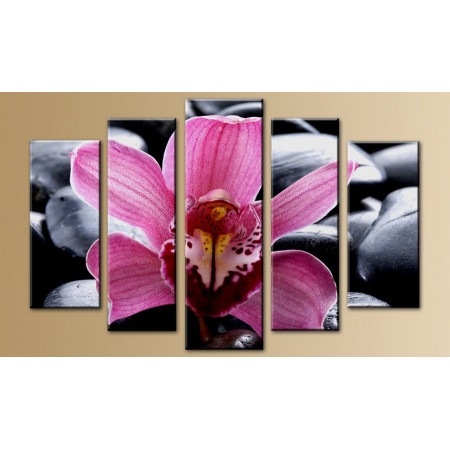 Модульная картина "Орхидея на камнях" 80х140 M490