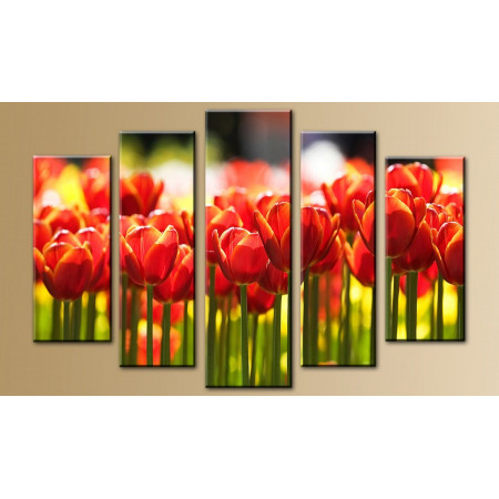 Модульная картина "Тюльпаны в лучах солнца" 80х140 M471