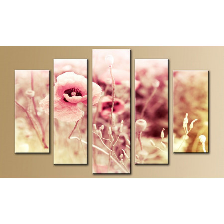 Модульная картина "Нежные розовые маки" 80х140 M410