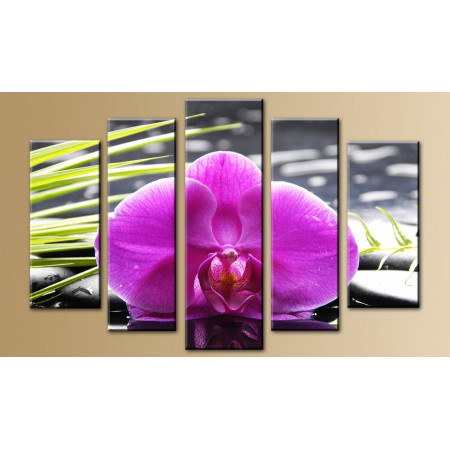 Модульная картина "Крупная орхидея" 80х140 M382