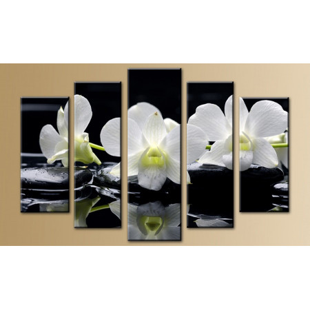 Модульная картина "Три белых орхидеи" 80х140 M372