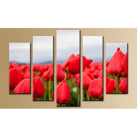 Модульная картина "Красные тюльпаны" 80х140 M349 