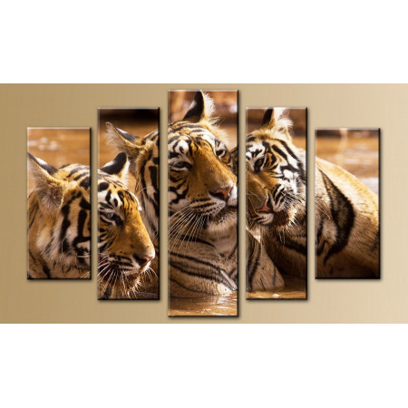 Модульная картина "Тигры в воде" 80х140 M222