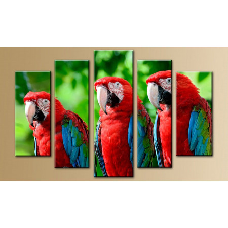 Модульная картина "Три попугая" 80х140 M221
