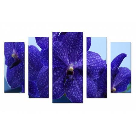 Модульная картина "Синяя орхидея" 70х120 Ш874