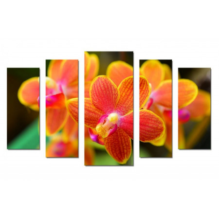 Модульная картина "Яркие орхидеи" 70х120 Ш849