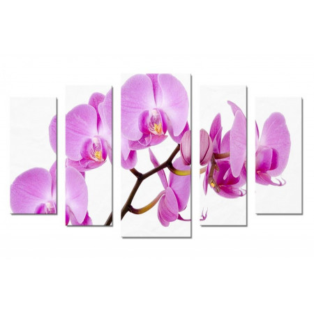 Модульная картина "Сиреневая орхидея" 70х120 Ш844