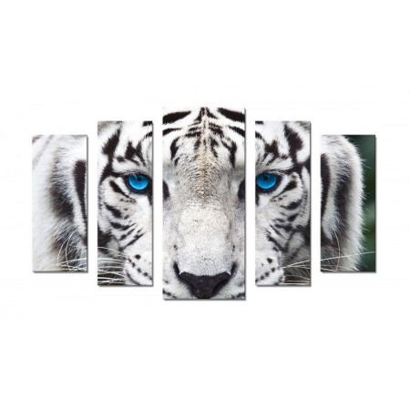 Модульная картина "Голубоглазый тигр" 70х120 Ш748