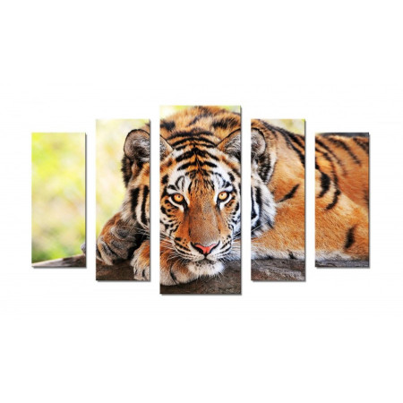Модульная картина "Взгляд тигра" 70х120 Ш746