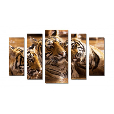 Модульная картина "Тигры в воде" 70х120 Ш716