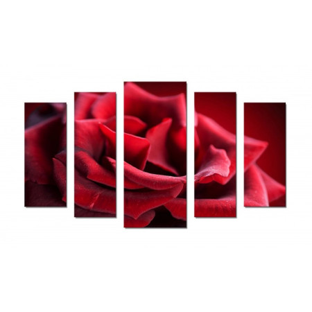 Модульная картина "Нежная красная роза" 70х120 Ш610