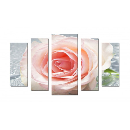 Модульная картина "Хрупкая роза" 70х120 Ш599