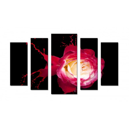 Модульная картина "Роза розовая брызги" 70х120 Ш598