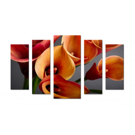 Модульная картина "Оранжево-красные Каллы на сером фоне" 70х120 Ш573