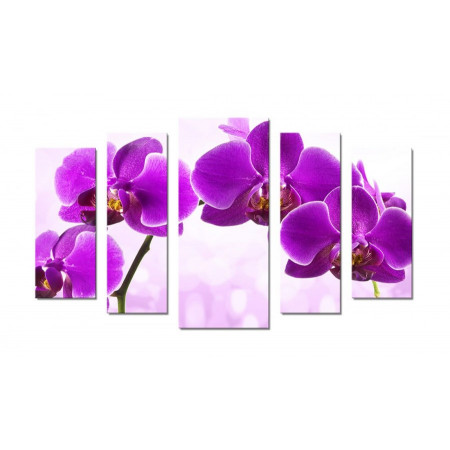Модульная картина "Фиолетовая орхидея" 70х120 Ш571