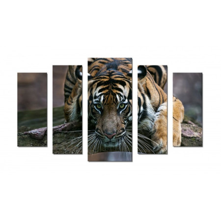 Модульная картина "Тигр с зелеными глазами" 70х120 Ш546