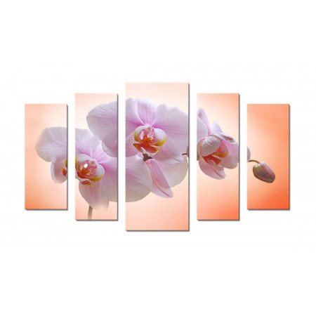 Модульная картина "Нежная орхидея" 70х120 Ш500