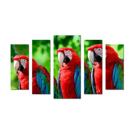 Модульная картина "Три попугая" 70х120 Ш420