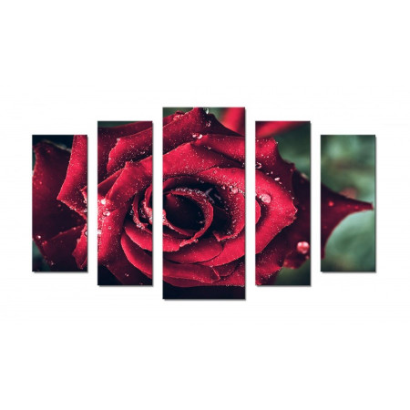 Модульная картина "Роза в каплях росы" 70х120 Ш390