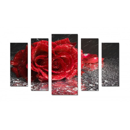 Модульная картина "Роза под дождем" 70х120 Ш365