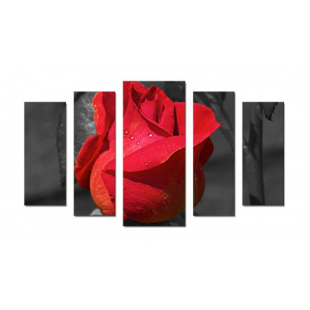 Модульная картина "Бутон розы" 70х120 Ш362