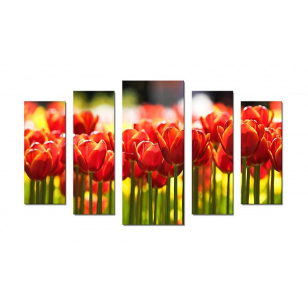 Модульная картина "Тюльпаны в лучах солнца" 70х120 Ш361
