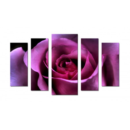 Модульная картина "Пурпурная роза" 70х120 Ш338