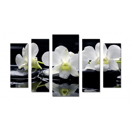 Модульная картина "Три белых орхидеи" 70х120 Ш328