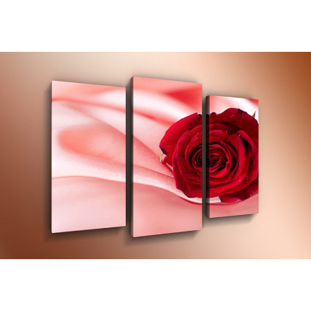 Модульная картина "Красная роза и розовый шелк" 60х80 ТР572