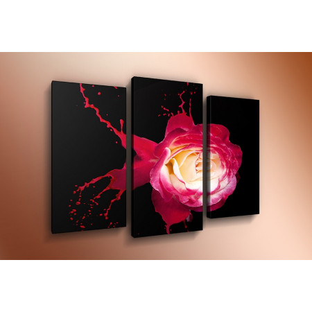 Модульная картина "Роза розовая брызги" 60х80 ТР569