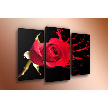Модульная картина "Роза красная брызги" 60х80 ТР562