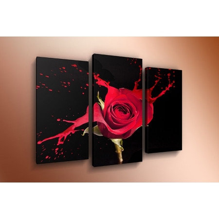 Модульная картина "Роза красная брызги" 60х80 ТР561