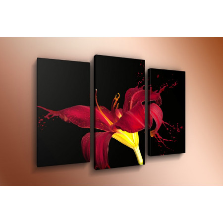Модульная картина "Красная лилия брызги" 60х80 ТР560
