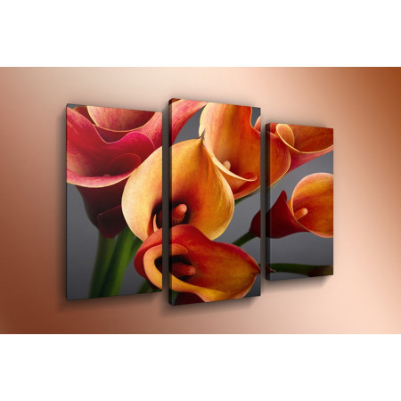 Модульная картина "Оранжево-красные Каллы на сером фоне" 60х80 ТР544