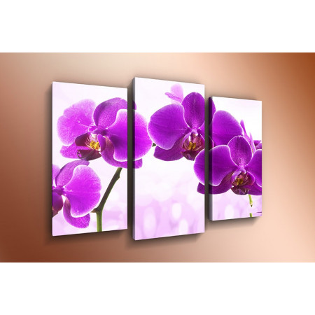 Модульная картина "Фиолетовая орхидея" 60х80 ТР542