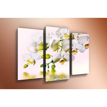 Модульная картина "Орхидеи над водой" 60х80 ТР541