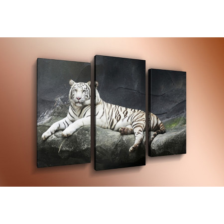 Модульная картина "Величественный белый тигр" 60х80 ТР536