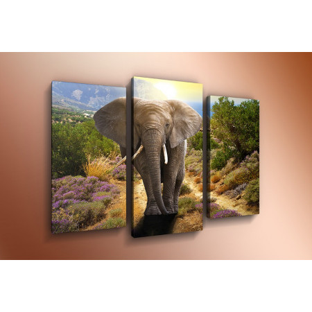 Модульная картина"Слон в горах" 60х80 ТР534