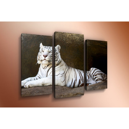 Модульная картина "Белый тигр" 60х80 ТР532