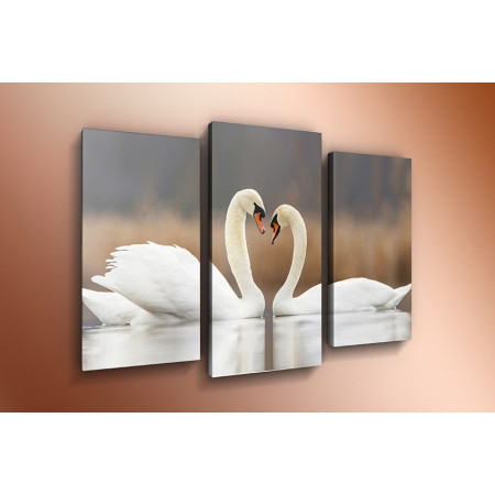 Модульная картина "Любовь и лебеди" 60х80 ТР521