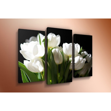 Модульная картина "Белые тюльпаны на черном" 60х80 ТР48
