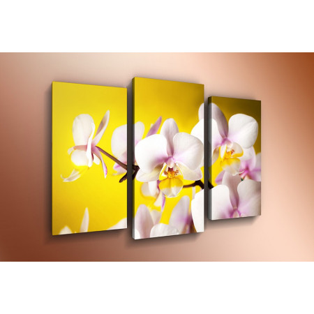 Модульная картина "Орхидеи на желтом фоне" 60х80 ТР455