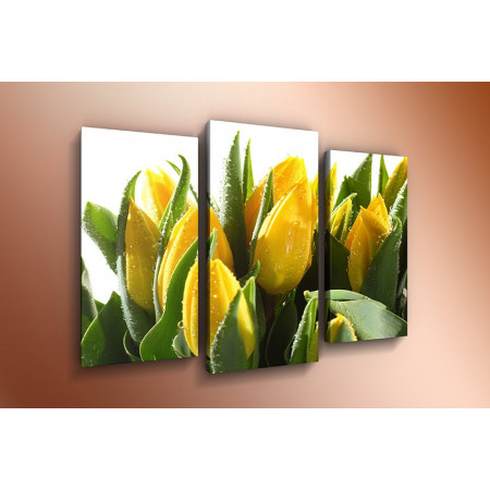 Модульная картина "Букет желтых тюльпанов" 60х80 ТР425