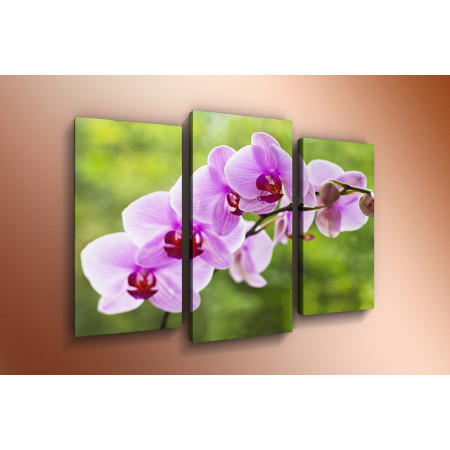 Модульная картина "Орхидея сиреневая" 60х80 ТР399
