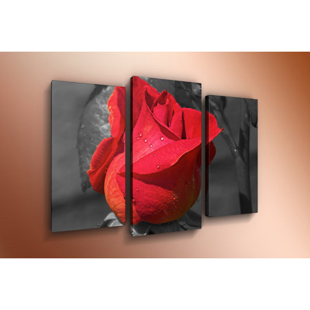 Модульная картина "Бутон розы" 60х80 ТР358