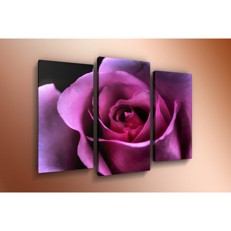 Модульная картина "Пурпурная роза" 60х80 ТР334