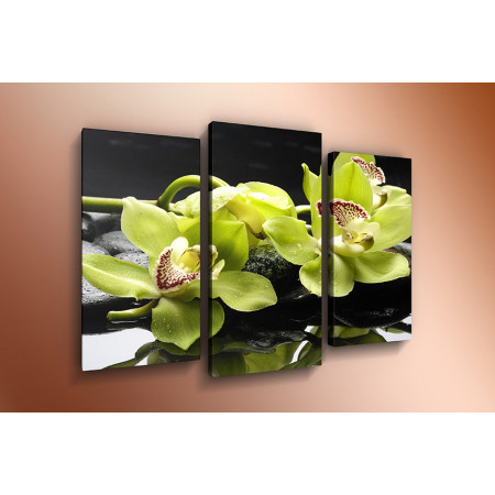 Модульная картина "Шикарные орхидеи" 60х80 ТР326