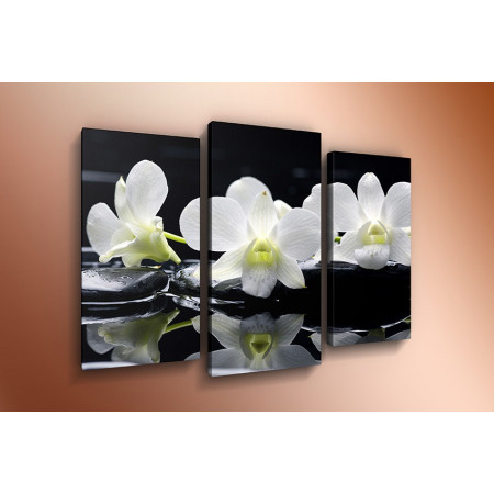 Модульная картина "Три белых орхидеи" 60х80 ТР324