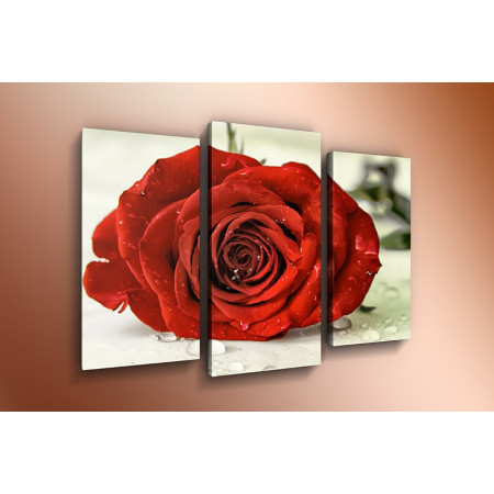 Модульная картина "Красная роза" 60х80 ТР301