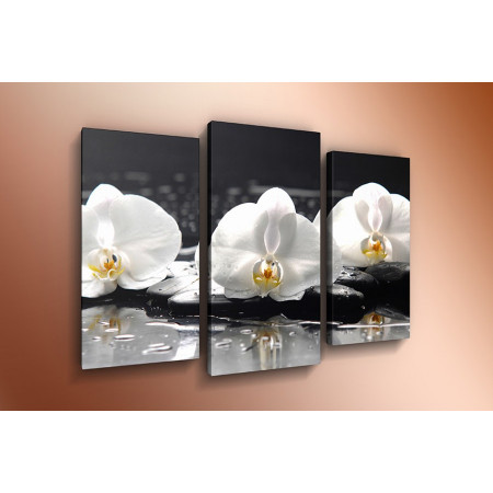 Модульная картина "Белые орхидеи на черных камнях" 60х80 ТР299